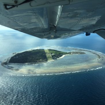 Top 5 Reasons to Visit Lady Elliot Island